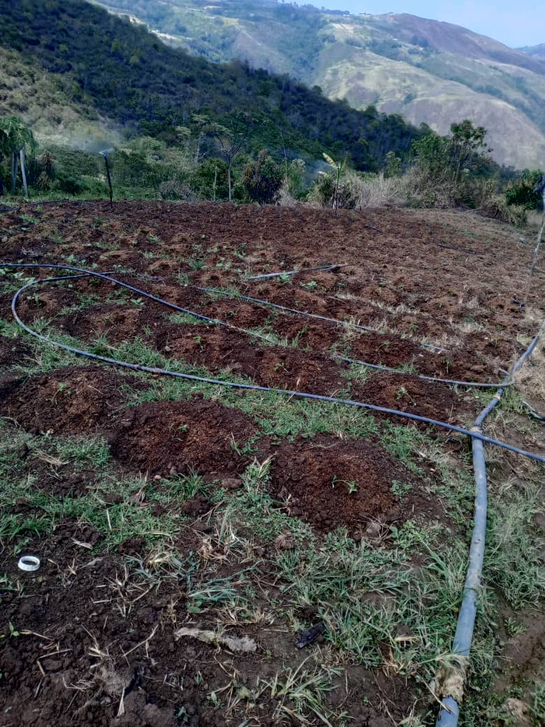 Venezuela – Microcréditos concedidos en Venezuela